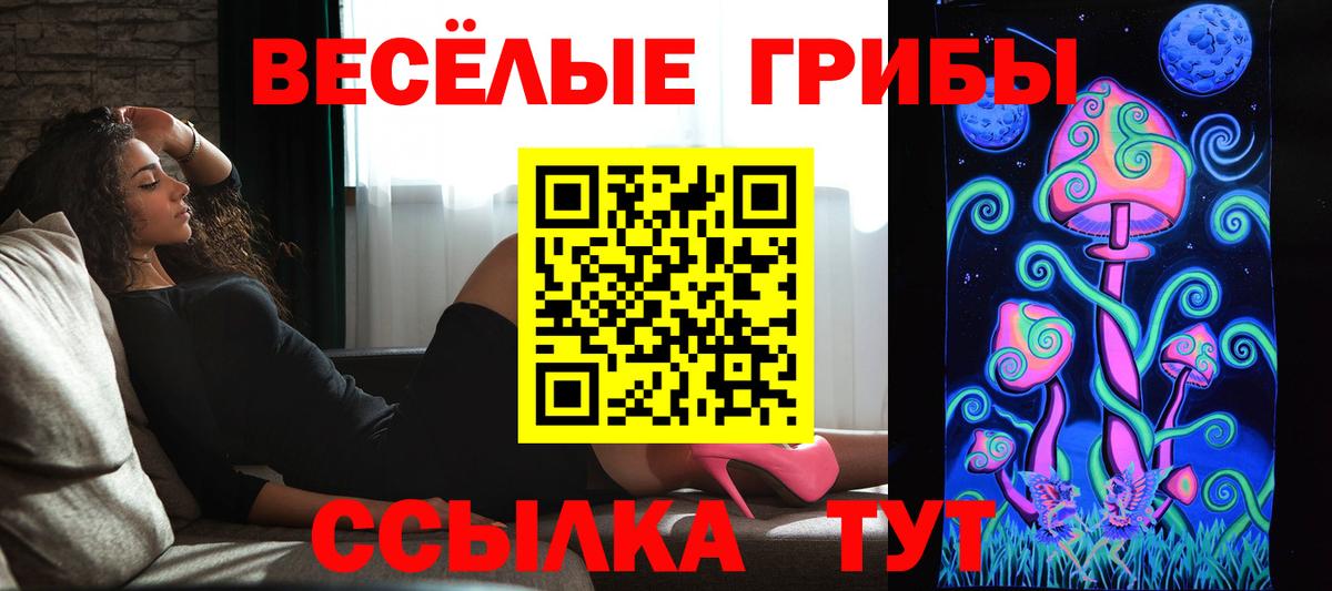 Галлюциногенные грибы Magic Shrooms  Псилоцибиновые грибы мицелий  Озёрск  Вход с VPN 